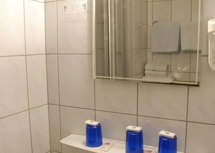 호텔 돔블리크 가르니 3*